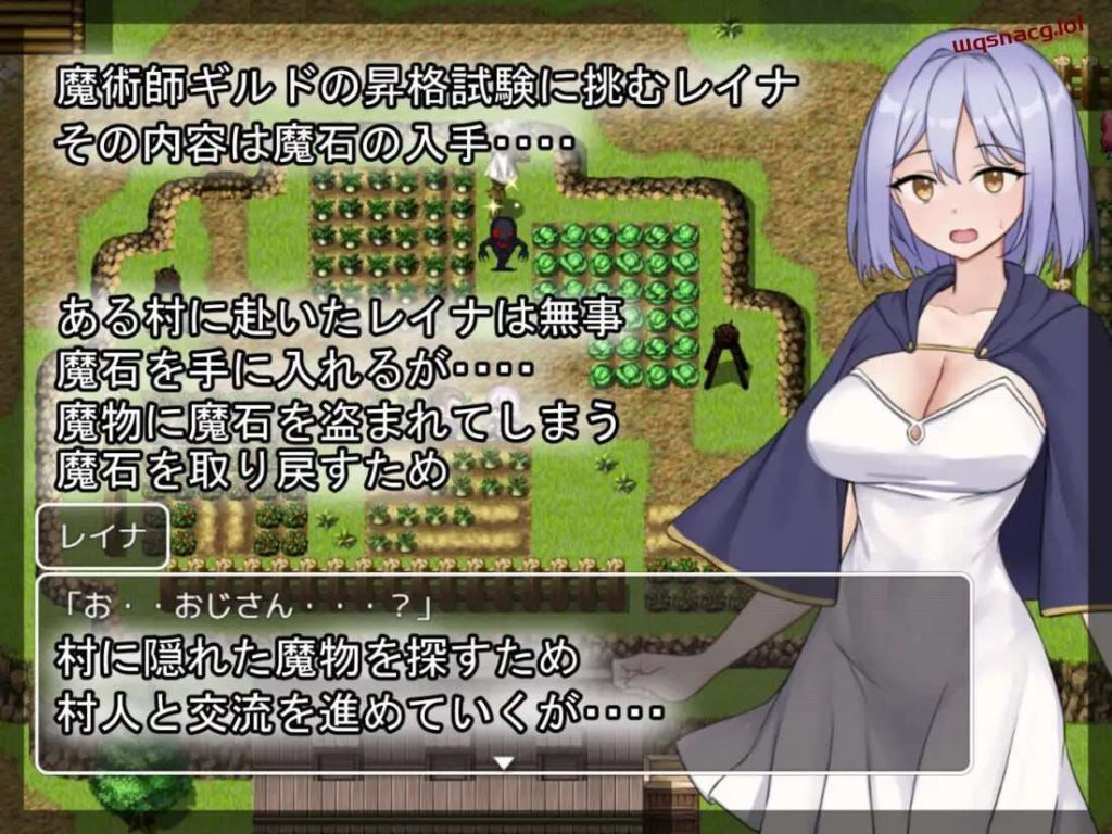 [探索RPG] 蕾娜的魔石和晋升考试 レイナの魔石と昇格試験 AI汉化版500M游戏中文版下载|无需安装解压即玩|游点东西