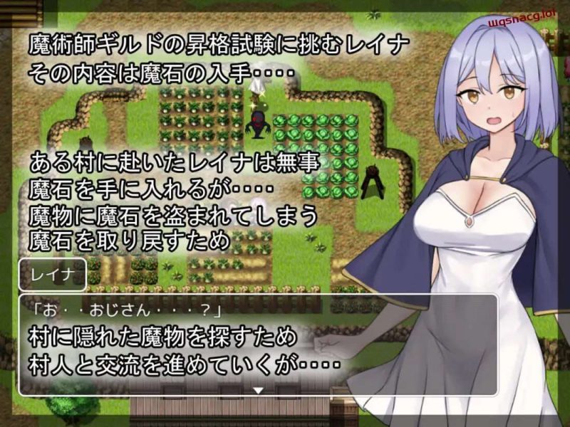 [探索RPG] 蕾娜的魔石和晋升考试 レイナの魔石と昇格試験 AI汉化版500M游戏中文版下载|无需安装解压即玩|游点东西
