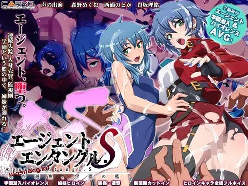 [拔作ADV] 校园囚禁 エージェントエンタングル.S 沈む遊魚、学園の檻 v1.0 AI汉化 [1.7G]游戏中文版下载|无需安装解压即玩|游点东西