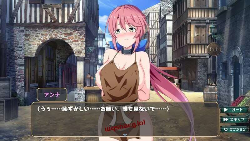 [互动SLG] 骑士安娜 -奴隶调教记录 騎士アンナ -奴隷調教記録 v1.0 AI汉化 [1G]游戏中文版下载|无需安装解压即玩|游点东西