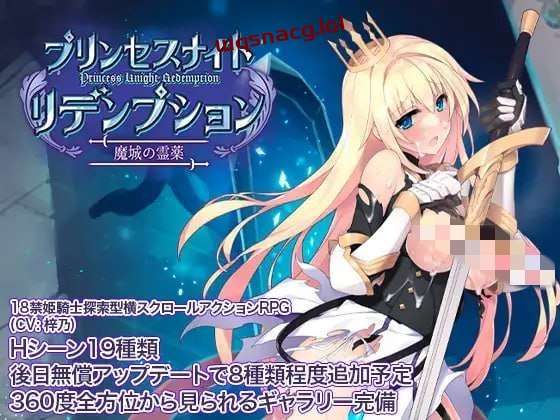 [动作ACT] 公主骑士炼金术 魔城之灵药 プリンセスナイトリデンプション 魔城の霊薬 官方中文版 [800M]游戏中文版下载|无需安装解压即玩|游点东西