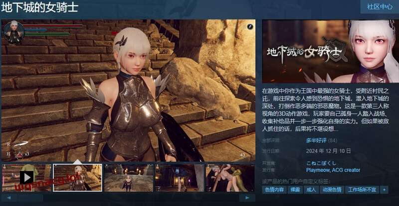 [ACT/汉化] 地下城的女骑士（地下城の女騎士）STEAM官中步兵3.4G游戏中文版下载|无需安装解压即玩|游点东西