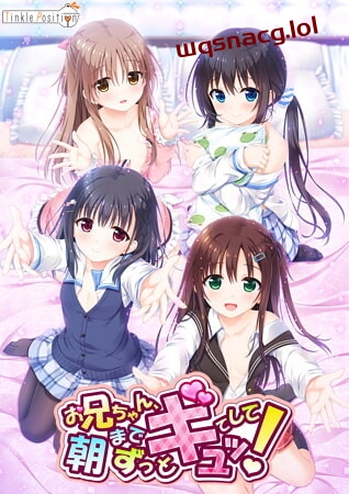 [大型ADV] 哥哥，早上起床之前都要抱紧我哦！中文汉化版 6.2G游戏中文版下载|无需安装解压即玩|游点东西