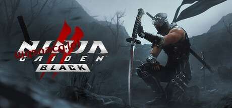 忍者龙剑传2:黑之章NINJA GAIDEN 2 Black v1.0.0官方中文免安装版游戏中文版下载|无需安装解压即玩|游点东西