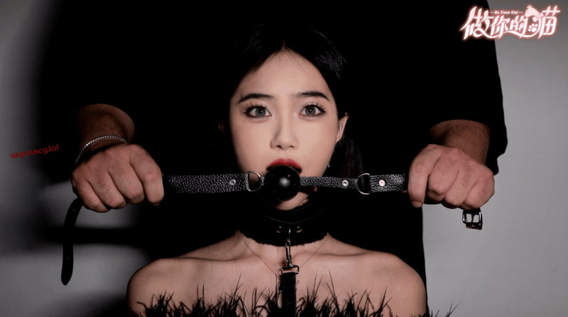 【互动SLG/中文/真人全动态】做你的猫咪TENOKE 官方中文硬盘版【33.6G/新作/中文配音】游戏中文版下载|无需安装解压即玩|游点东西