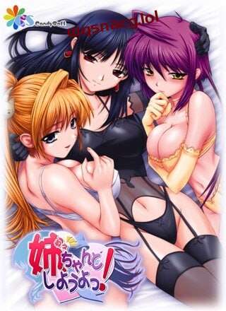 [日式ADV/后宫/PC] 姐姐，拜托你认真一点！姉、ちゃんとしようよっ！AI汉化版+全CG存档 1G游戏中文版下载|无需安装解压即玩|游点东西